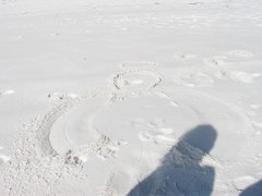 sand angel