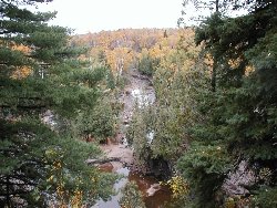 autumn in minnesota trees