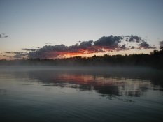 Tim's honeymoon nature pic 2