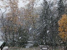 snow pic