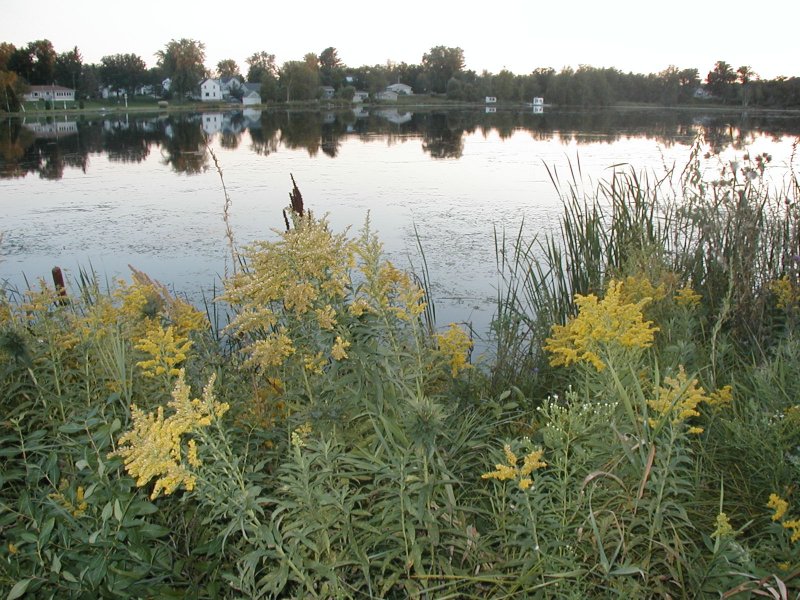 a river at dusk pic
