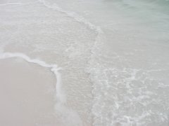 gulf shore