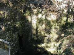 Falling Waters sink hole